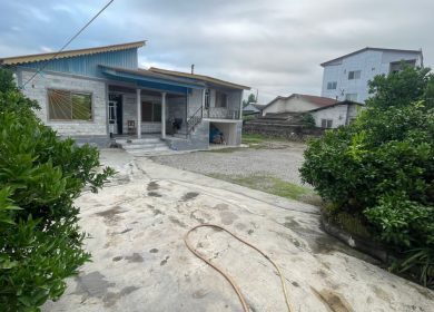 خرید ویلا باغ ۷۰۰ متری با درختان پرتقال سند دار | ۷۰۰ متر