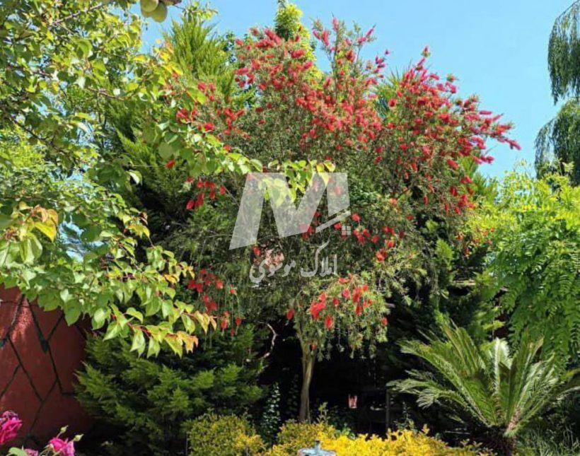 خرید ویلا ۴۰۰ متری الیملات نور اقساط ۱۰ ماهه بدون بهره | ۴۰۰ متر