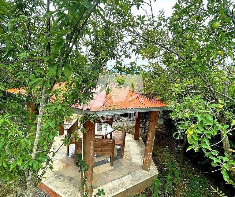 خرید ویلا شمال نور ۶۵۰ متری نزدیک دریا و جنگل | ۶۵۰ متر