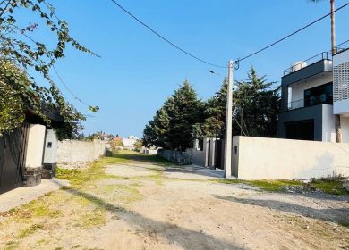 خرید زمین ۲۵۰ متری سند دار در سید کلا چمستان | ۲۵۰ متر