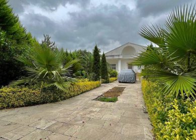 خرید ویلا باغ ۷۵۰ متری در عبدالله آباد چمستان | ۷۵۰ متر