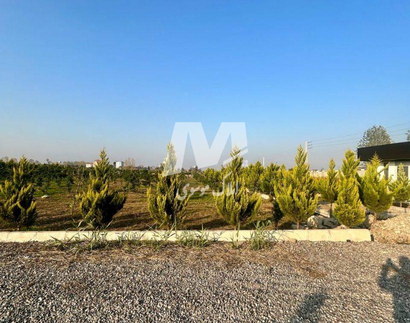 خرید زمین شهرک تازه تاسیس با سند و جواز در امیرآباد چمستان | ۲۰۰ متر