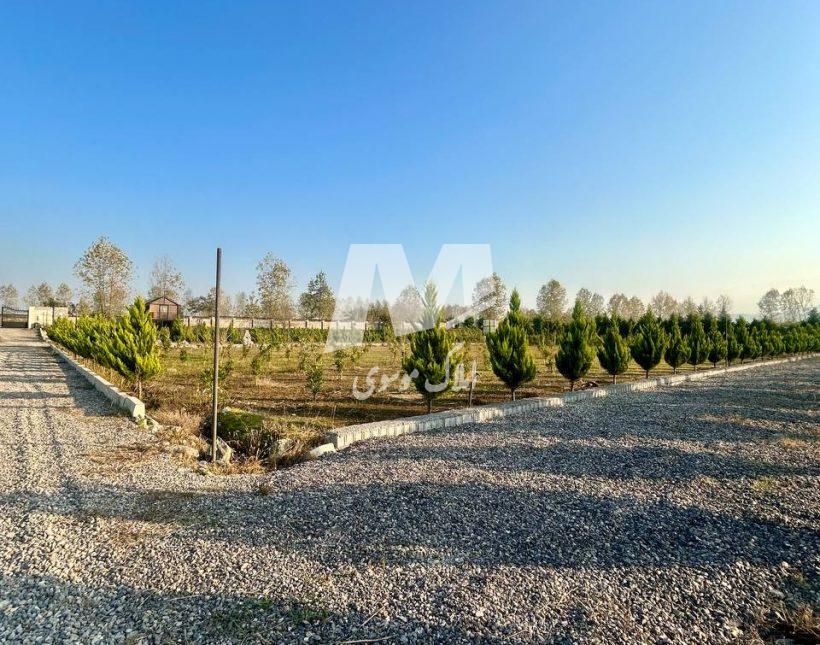 خرید زمین شهرک تازه تاسیس با سند و جواز در امیرآباد چمستان | ۲۰۰ متر