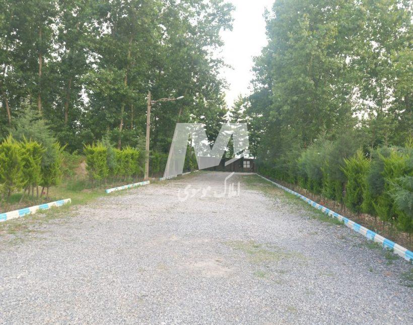 خرید زمین شهرک قطعه ۱ جنگل با سند در الیمالات نور | ۳۰۰ متر