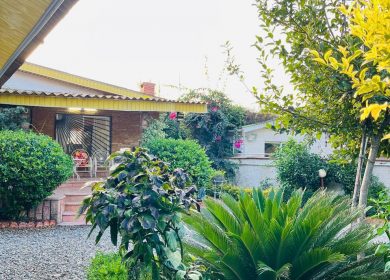 خرید ویلا باغ ۷۰۰ متری در عباسا نور | ۷۰۰ متر