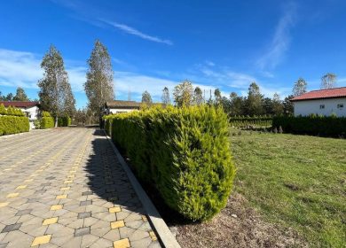 خرید زمین شهرکی ۳۰۰ متری در سعادت آباد چمستان | ۳۰۰ متر