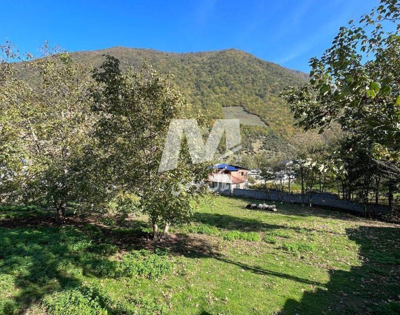 خرید زمین مستقل نزدیک جاده اصلی در لاویج چمستان | ۲۵۰ متر