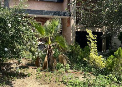 خرید ویلا جنگلی در چمستان با ۳۰۰ متر زمین | ۳۰۰ متر