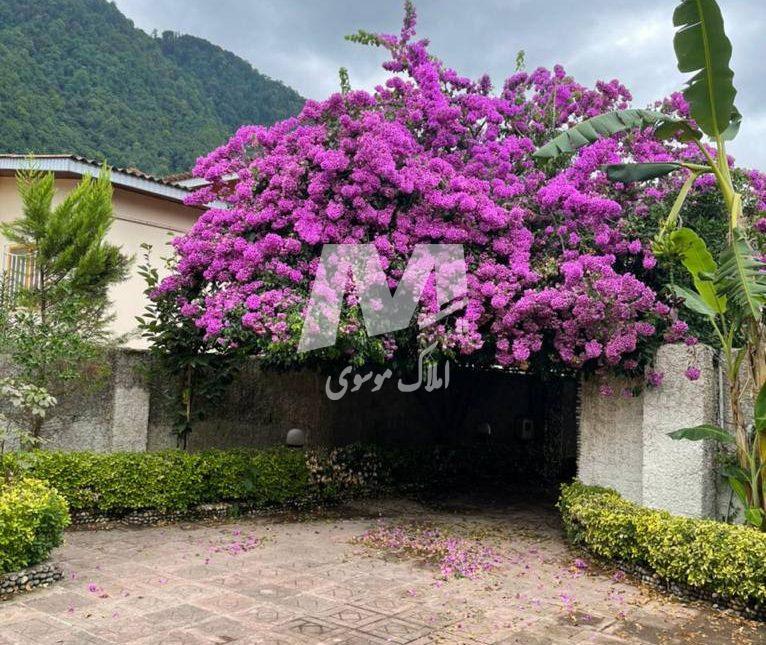 خرید ویلا باغ ۳۵۰ متری دو خوابه سند دار چلک نوشهر | ۳۵۰ متر