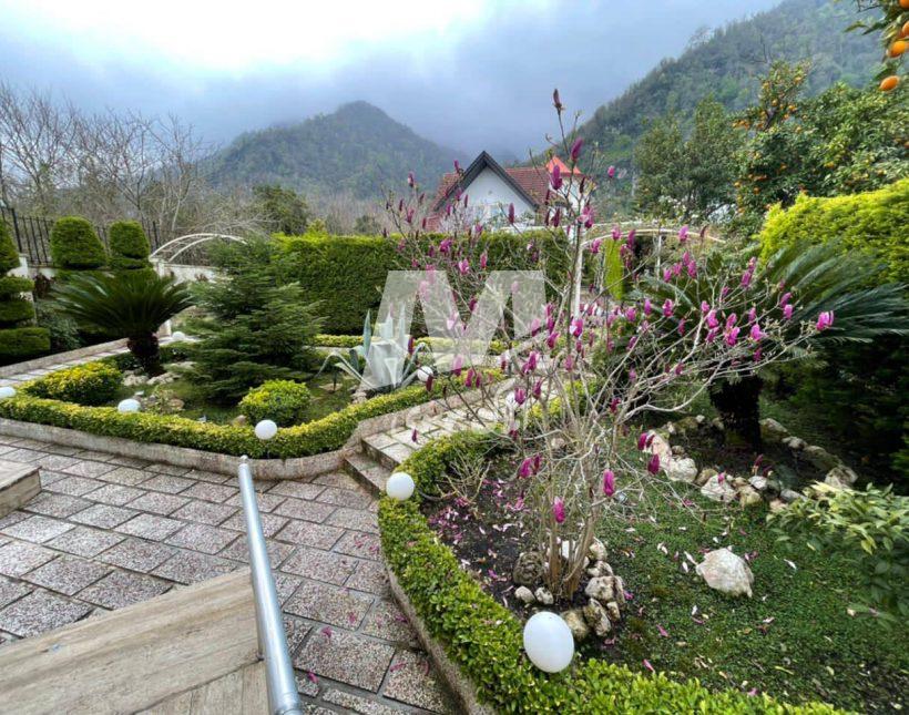 خرید ویلا باغ ۵۵۰ متری اقساط ۱۴ ماهه چلک نوشهر | ۵۵۰ متر