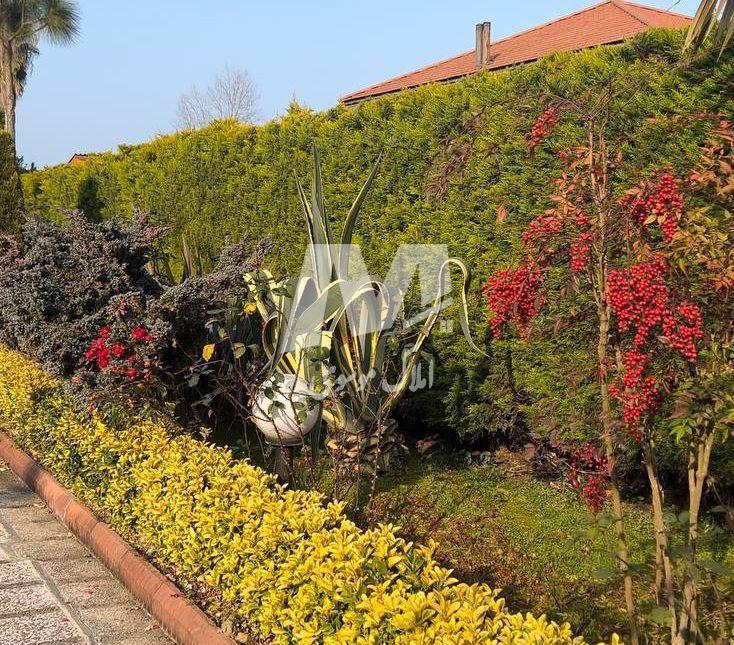 خرید ویلا باغ دلباز ۵۰۰ متری اقساطی سیسنگان نوشهر | ۵۰۰ متر