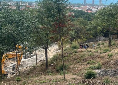 خرید زمین ویو ابدی داخل بافت قطعات 900 تا 1000 متری ونوش نوشهر | 1000 متر