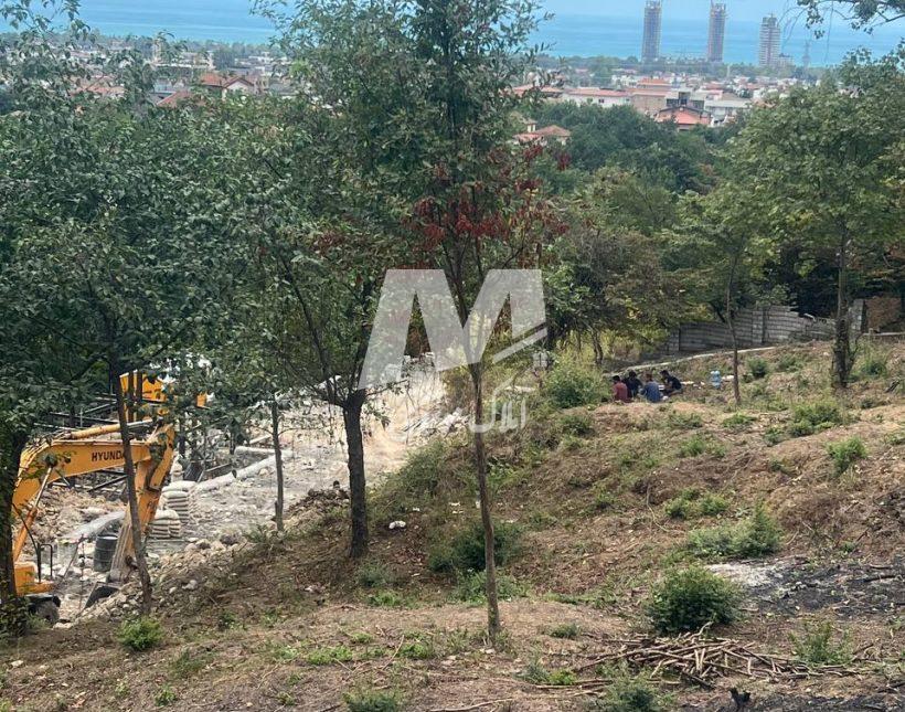 خرید زمین ویو ابدی داخل بافت قطعات 900 تا 1000 متری ونوش نوشهر | 1000 متر