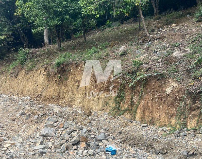 خرید زمین ویو ابدی داخل بافت قطعات 900 تا 1000 متری ونوش نوشهر | 1000 متر