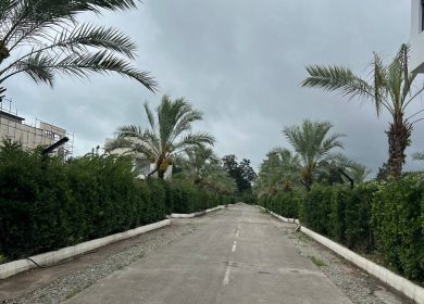 خرید زمین بافت سند تک برگ 300 متری نوشهر | 300 متر