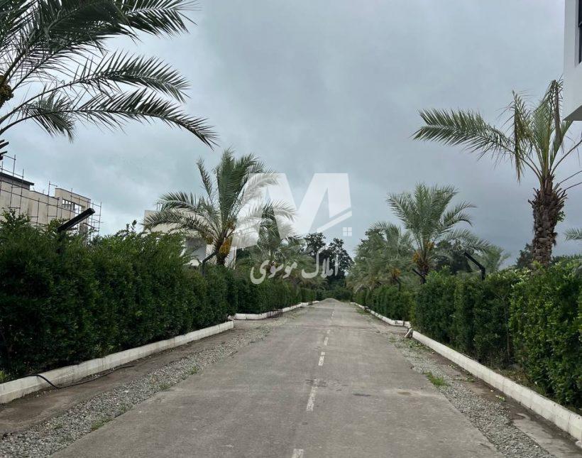 خرید زمین بافت سند تک برگ 300 متری نوشهر | 300 متر