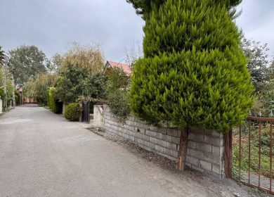 خرید زمین در نور قواره ۲۲۰متری سند دار | ۲۲۰ متر