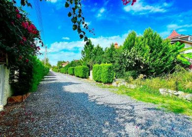 خرید زمین در نور قواره ۱۷۰متری آماده ساخت | ۱۷۰ متر