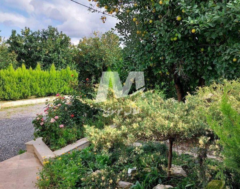 خرید زمین در چمستان قواره ۲۴۰متری | ۲۴۰ متر