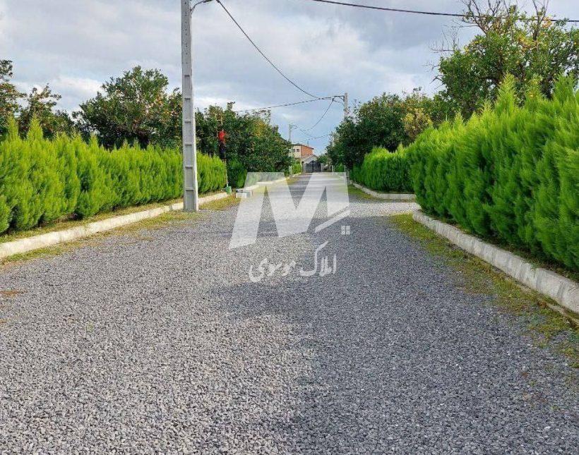 خرید زمین در چمستان قواره ۲۴۰متری | ۲۴۰ متر