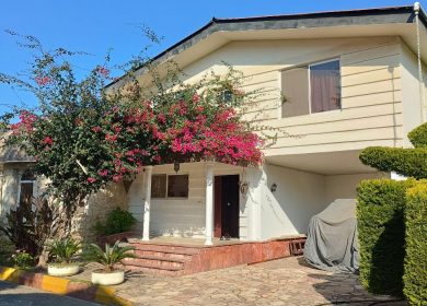 خرید ویلا جاده جنگلی ۳۰۰ متری در بلویج چمستان | ۳۰۰ متر