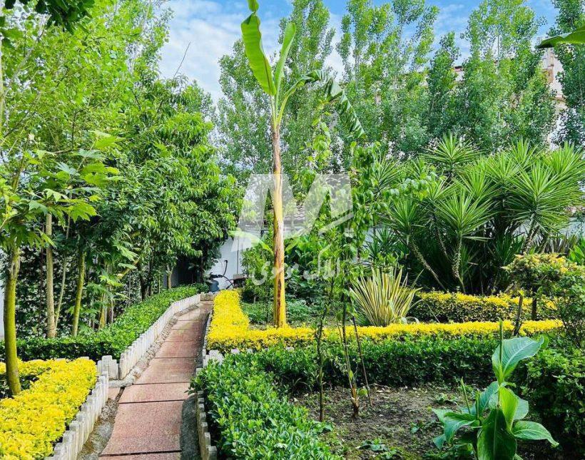 خرید ویلا باغ ۱۰۰۰متری در حاجی اباد نور | ۱۰۰۰ متر