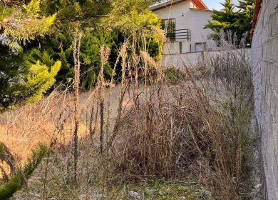 خرید زمین در چمستان قواره ۲۰۰ متری | ۲۰۰ متر