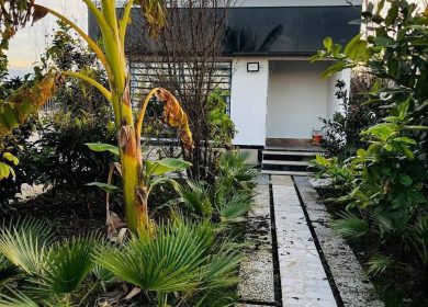 خرید ویلا ۲۰۰ متری جاده جنگلی در سرکاج چمستان | ۲۰۰ متر