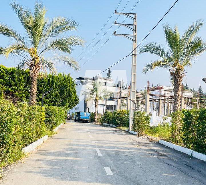 خرید زمین قیمت کاسبی در منطقه رویان سیاهرود | ۳۰۰ متر