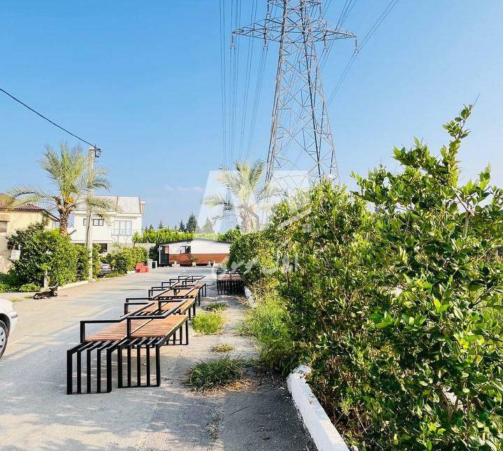 خرید زمین قیمت کاسبی در منطقه رویان سیاهرود | ۳۰۰ متر