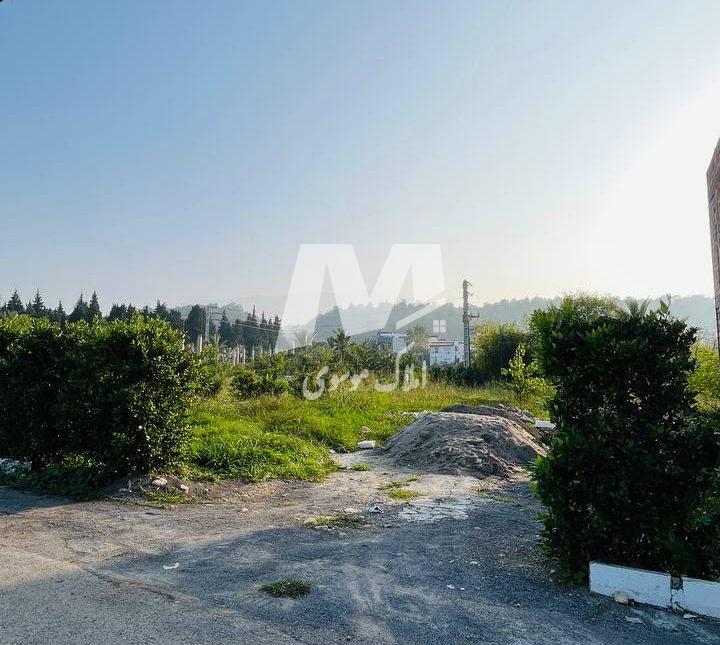 خرید زمین قیمت کاسبی در منطقه رویان سیاهرود | ۳۰۰ متر