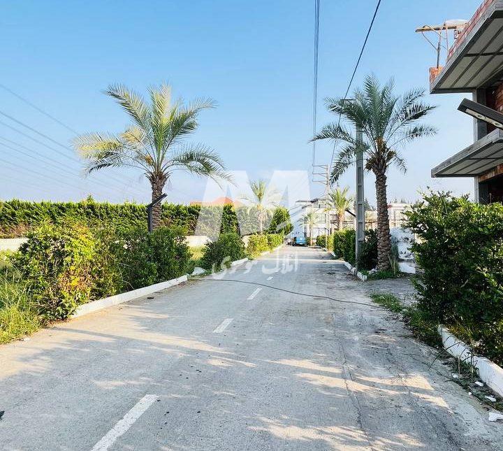 خرید زمین قیمت کاسبی در منطقه رویان سیاهرود | ۳۰۰ متر