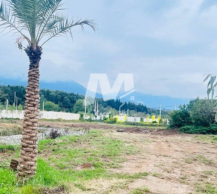 خرید زمین شهرکی قیمت کاسبی در ونوش نوشهر | ۳۰۰ متر