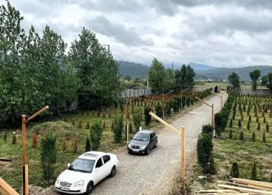 فروش زمین در منطقه برند امیرآباد سند تک برگ | ۲۰۰ متر