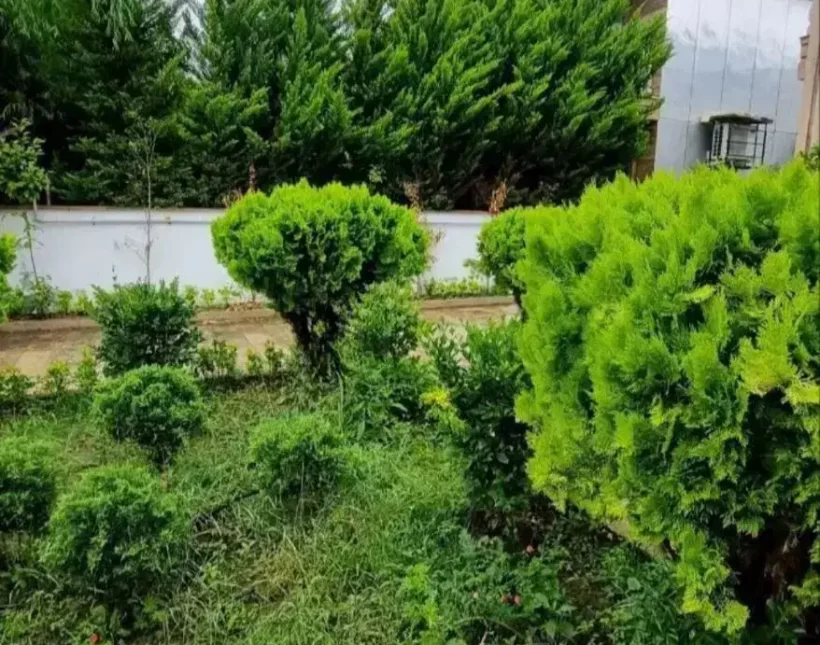 فروش کاخ ویلا سند دار و مستقل نور | ۲۷۰ متر