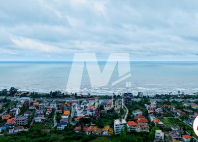 دزدک نوشهر روستایی بکر و جنگلی مناسب زندگی و سرمایه گذاری