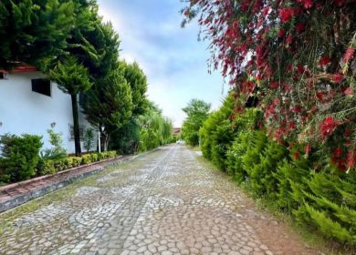 خرید زمین در نور ۳۵۰ متری شهرک برند جنگلی سند تک برگ | ۳۵۰ متر