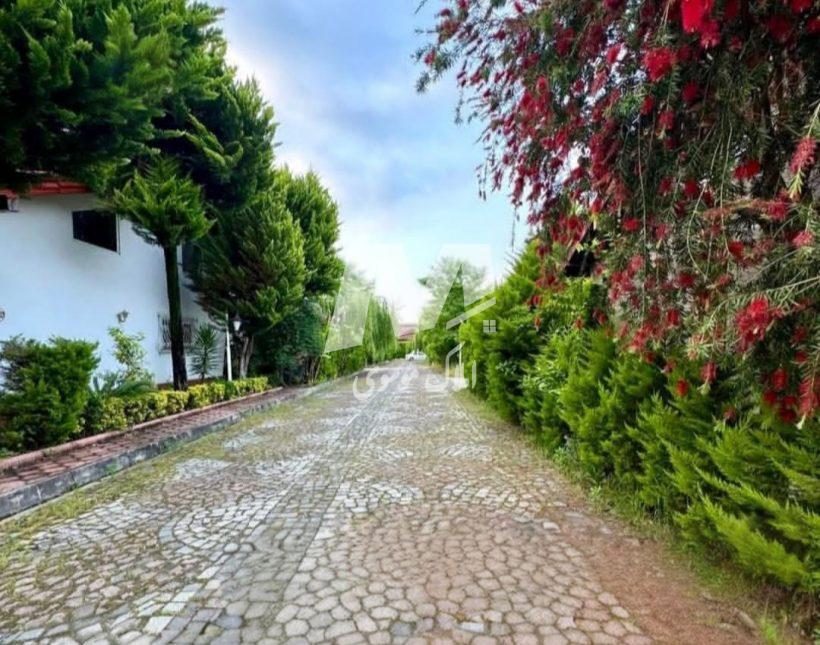 خرید زمین در نور ۳۵۰ متری شهرک برند جنگلی سند تک برگ | ۳۵۰ متر