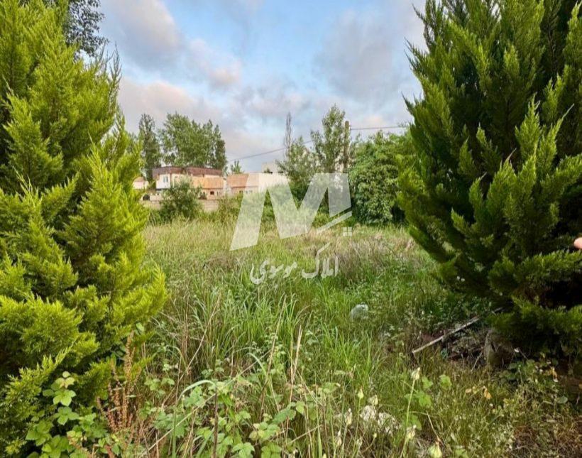 خرید زمین در نور ۳۵۰ متری شهرک برند جنگلی سند تک برگ | ۳۵۰ متر