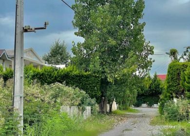 خرید زمین نعمت آباد چمستان ۲۵۰ متری داخل بافت سند دار | ۲۵۰ متر