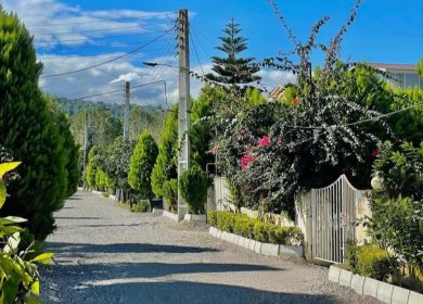 خرید زمین قواره ۲۰۰ متری در محدوده جنگلی نور مدارک تکمیل | ۲۰۰ متر