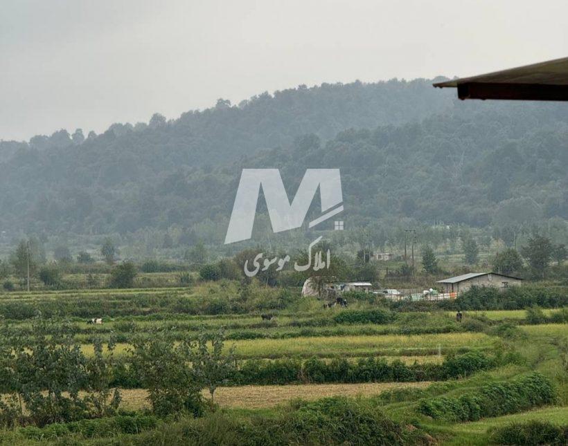 خرید ویلا در چمستان ۳۵۰ متری مدرن استخردار | ۳۰۰ متر