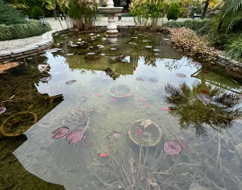 خرید ویلا باغ شهرکی دل جنگل نعمت آباد چمستان | ۴۰۰ متر