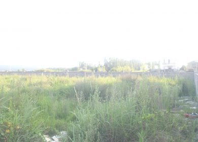 فروش زمین داخل بافت مسکونی در منطقه نور | 300 متر