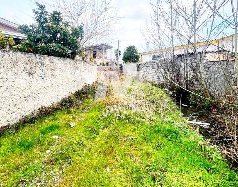 خرید زمین ۲۲۰ متری در چمستان | ۲۲۰ متر