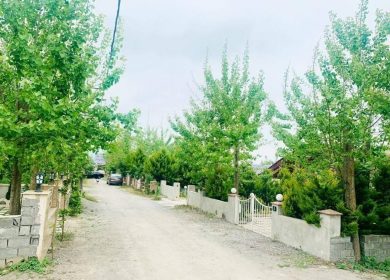 خرید زمین در نور قواره ۲۰۰ متری | ۲۰۰ متر