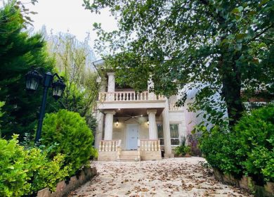 خرید ویلا دوبلکس نما سنگ دل جنگل مدارک کامل | 340 متر