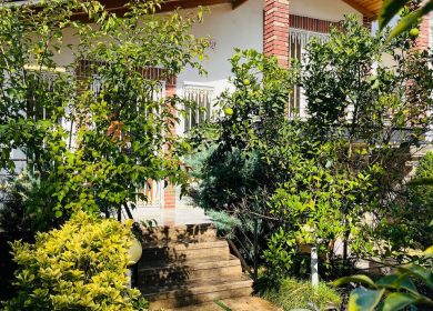 خرید ویلا ۱۸۰ متر زمین جنگلی در سیاهکلا چمستان | ۱۸۰ متر