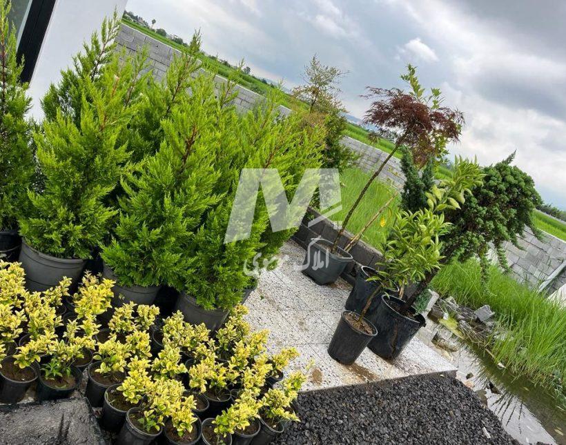 خرید ویلا در چمستان آهودشت ۲۲۰ متری شهرکی با سند جنگلی | ۲۲۰ متر