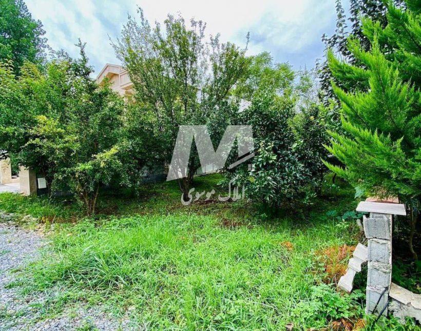 خرید زمین در چمستان قواره ۳۰۰ متری | ۳۰۰ متر